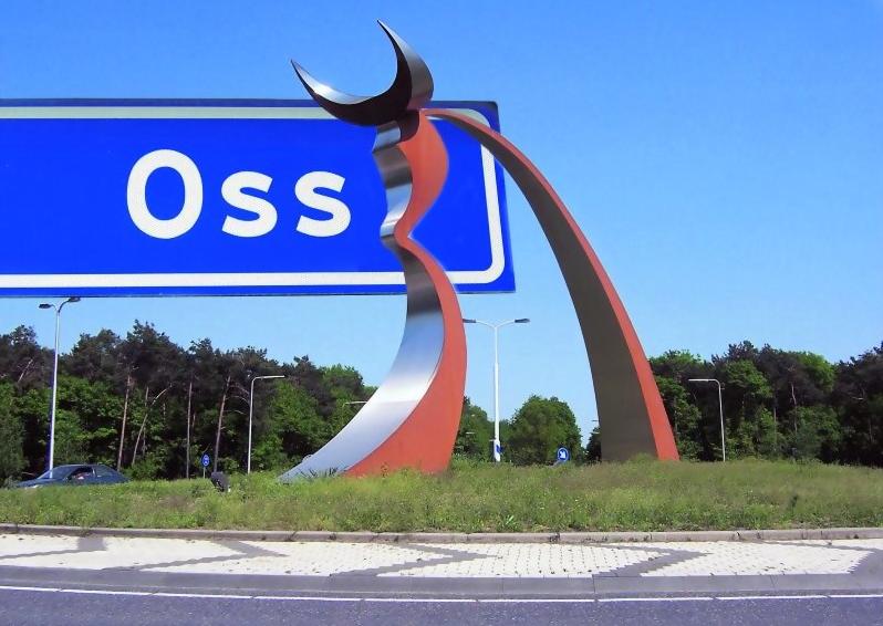 Internet monteur Oss